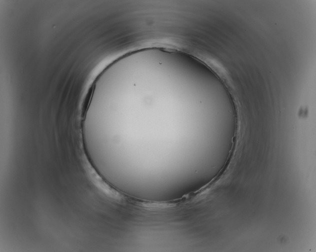 X0000091921200200709261635