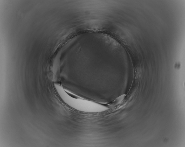 X0000091921202200709261635