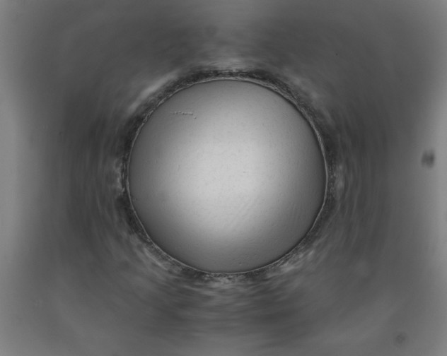 X0000091921205200709261635