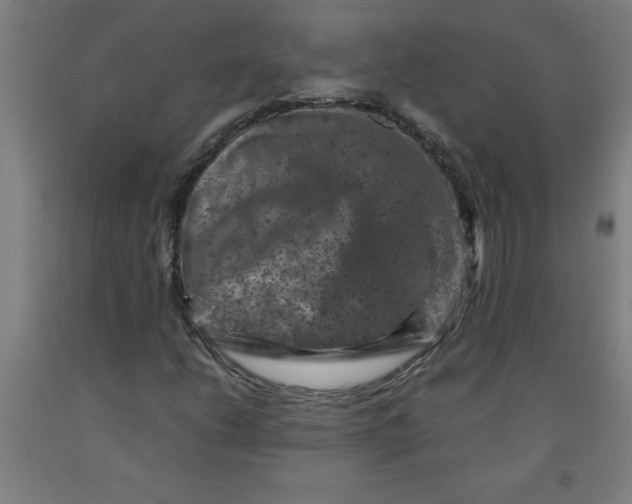 X0000091921206200709261635