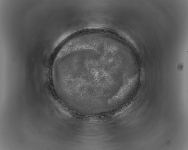 X0000091921208200709261635