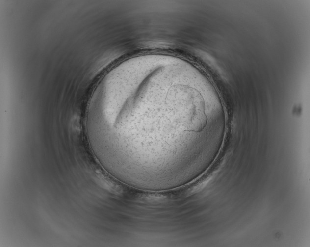 X0000091921209200709261635