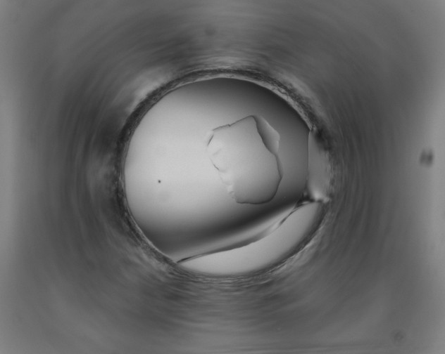 X0000091921210200709261635