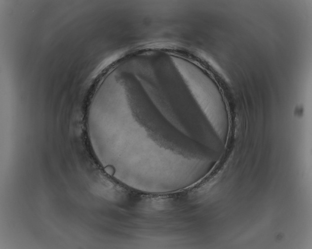 X0000091921213200709261635