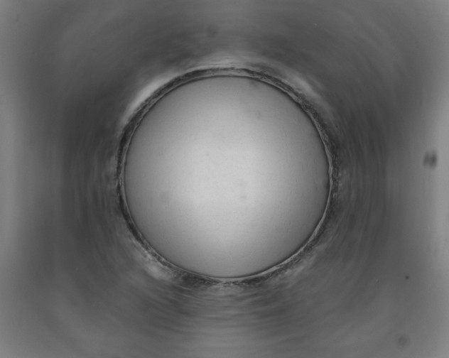 X0000091921216200709261635