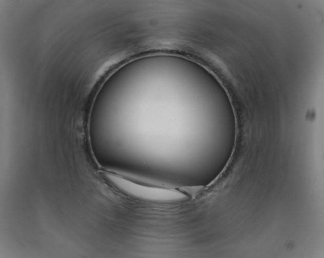 X0000091921218200709261635