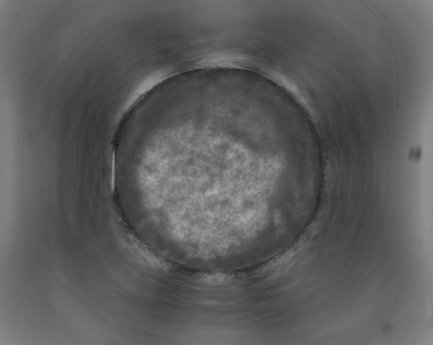 X0000091921219200709261635