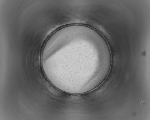 X0000091921220200709261635