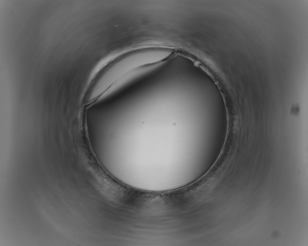 X0000091921222200709261635