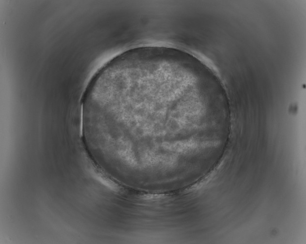 X0000091921223200709261635