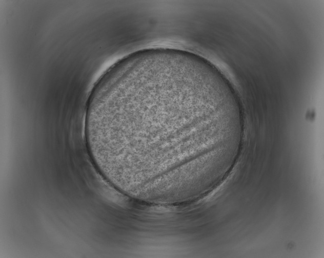 X0000091921224200709261635