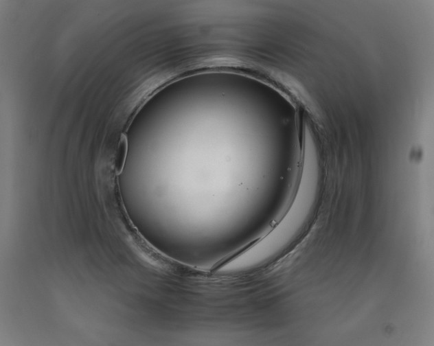 X0000091921225200709261635