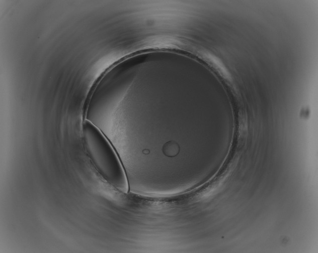 X0000091921226200709261635