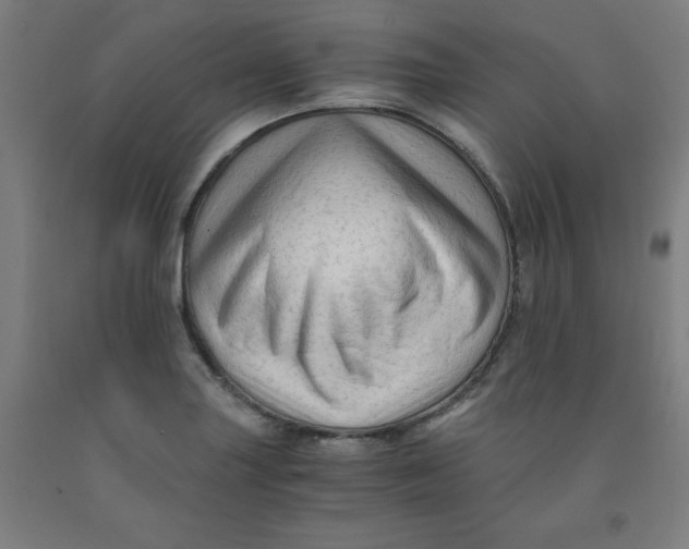 X0000091921227200709261635