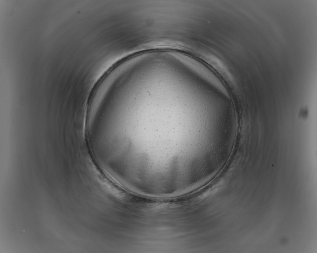 X0000091921228200709261635