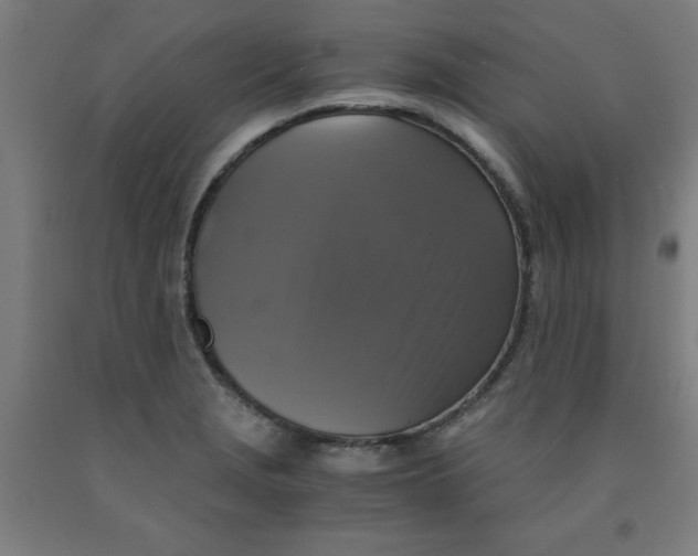 X0000091921229200709261635