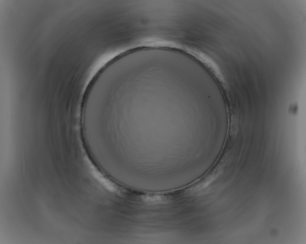 X0000091921231200709261635