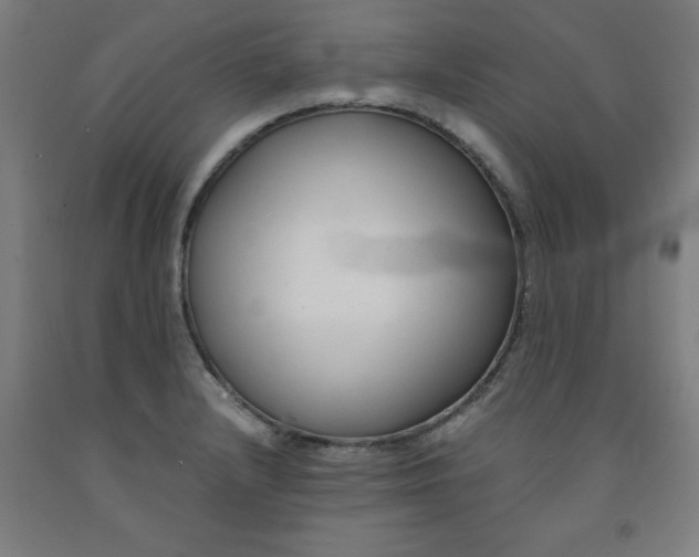 X0000091921232200709261635