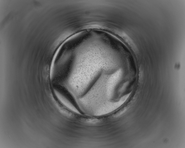 X0000091921233200709261635