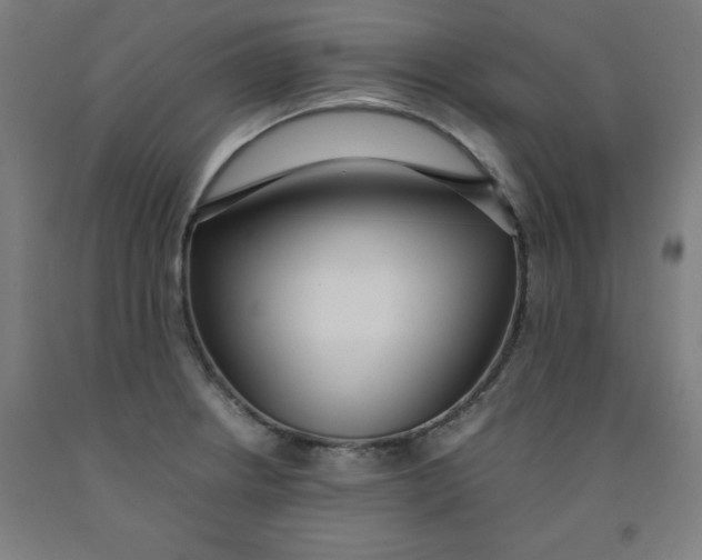 X0000091921234200709261635