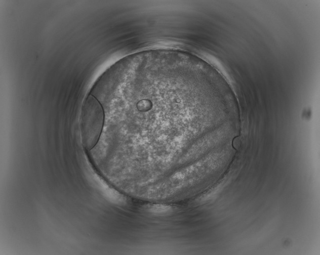 X0000091921235200709261635