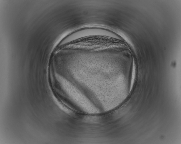 X0000091921237200709261635