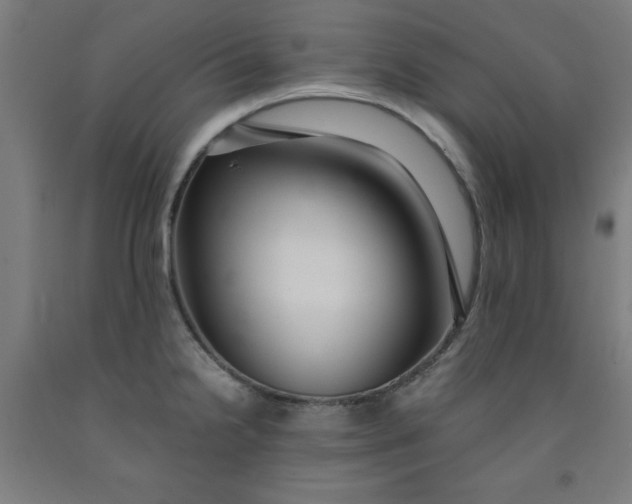 X0000091921238200709261635