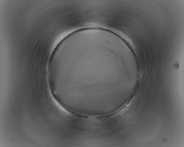 X0000091921239200709261635