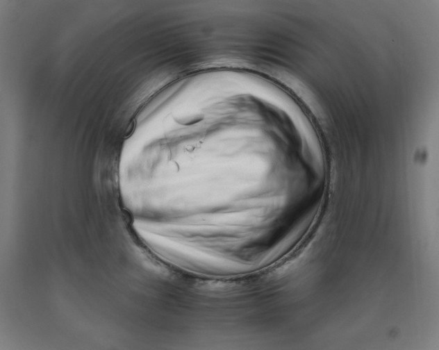 X0000091921241200709261635