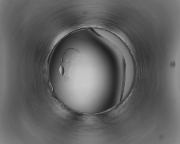 X0000091921242200709261635