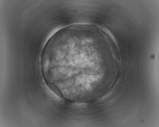 X0000091921243200709261635