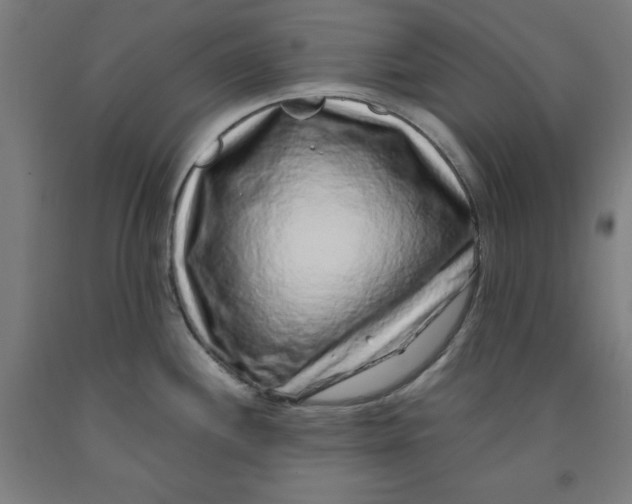 X0000091921244200709261635