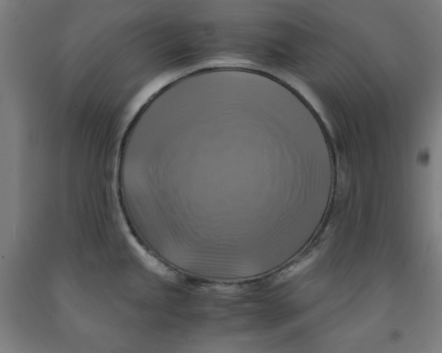 X0000091921245200709261635