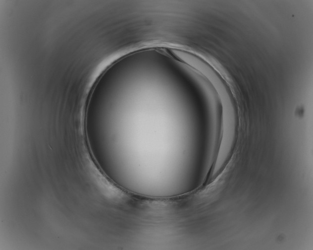 X0000091921246200709261635