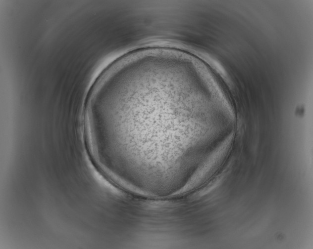 X0000091921247200709261635