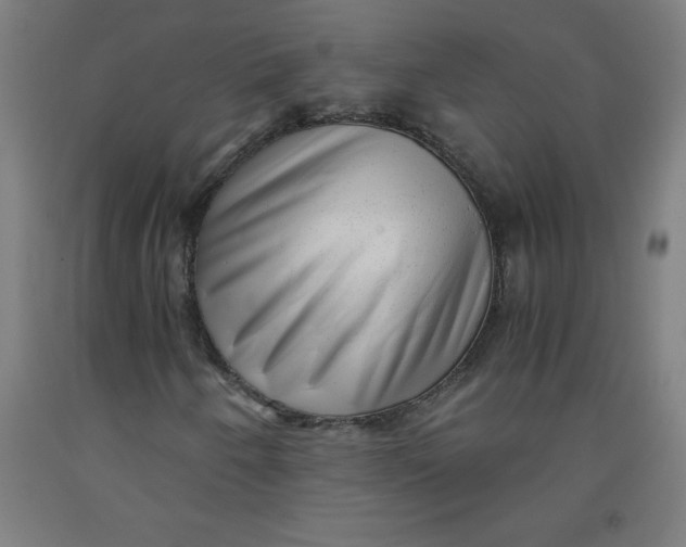 X0000091921250200709261635