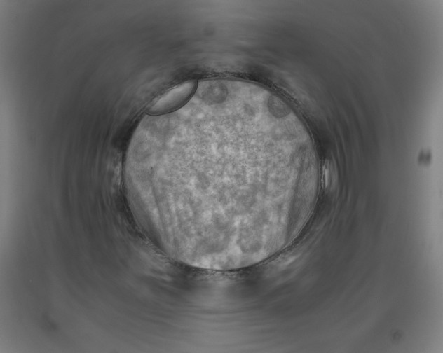 X0000091921251200709261635