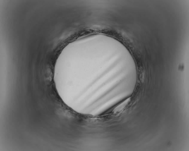 X0000091921253200709261635