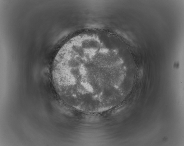 X0000091921254200709261635