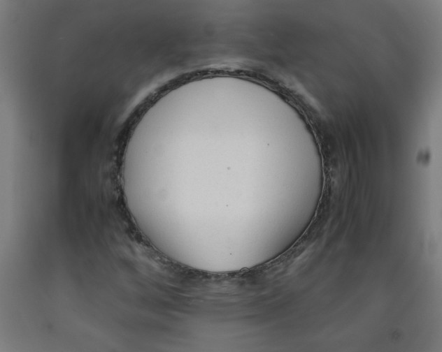 X0000091921256200709261634