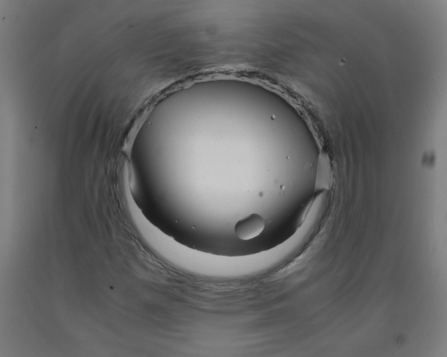 X0000091921257200709261634