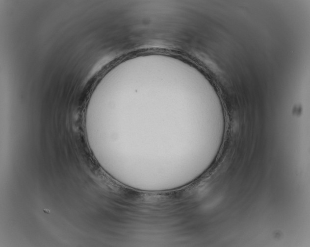 X0000091921258200709261634