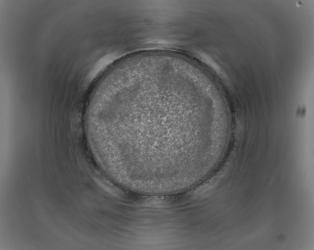 X0000091921259200709261634