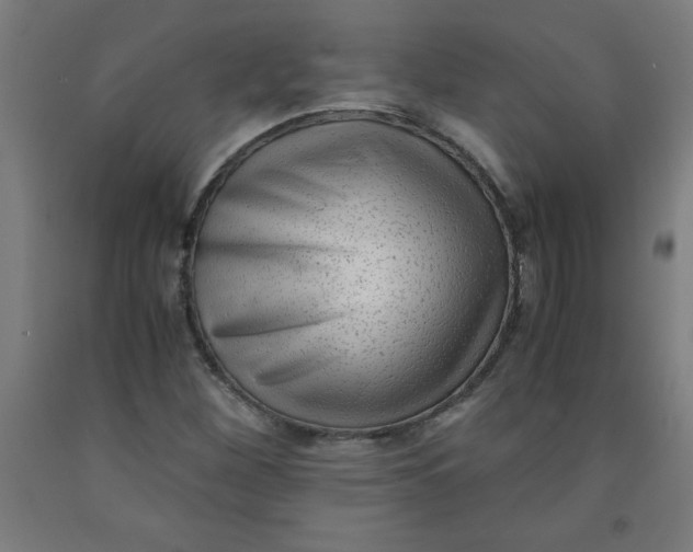 X0000091921260200709261634