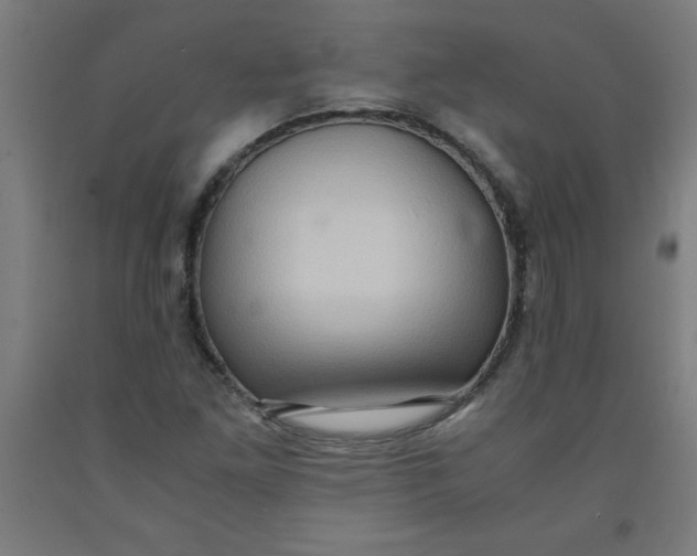 X0000091921261200709261634