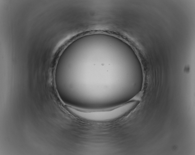 X0000091921262200709261634