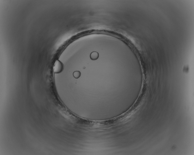 X0000091921263200709261634