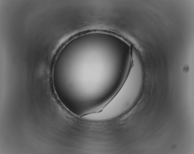 X0000091921264200709261634