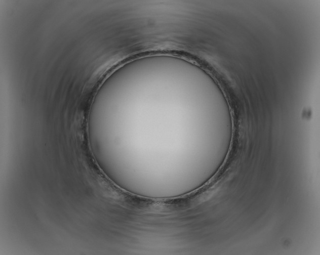 X0000091921265200709261634