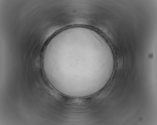 X0000091921266200709261634